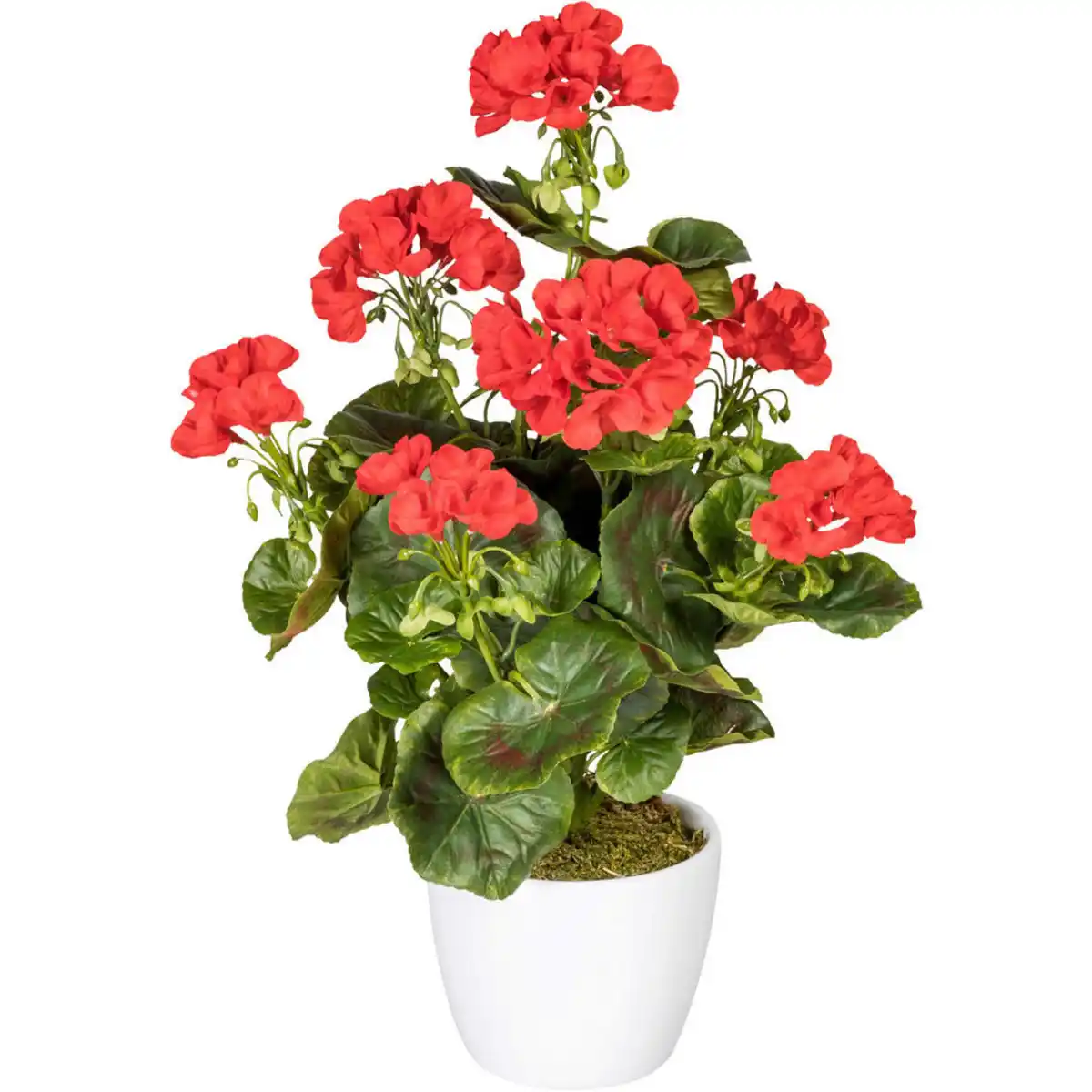 Bild 1 von P & B Kunstpflanze, Grün, Rot, Kunststoff, 40 cm, inkl. Topf, UV-beständig, Dekoration, Blumen & Zubehör, Kunstpflanzen