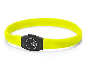 Hunde-LED-Halsband