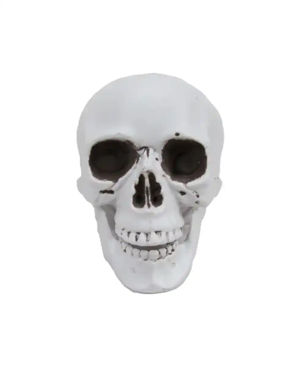 Bild 1 von Deko-Schädel Halloween, weiß