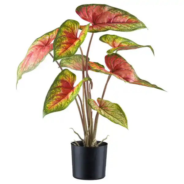 Bild 1 von P & B Kunstpflanze, Grün, Rot, Kunststoff, 55 cm, Dekoration, Blumen & Zubehör, Kunstpflanzen