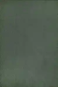 Webteppich Stilo Grün ca. 140x200cm, Grün