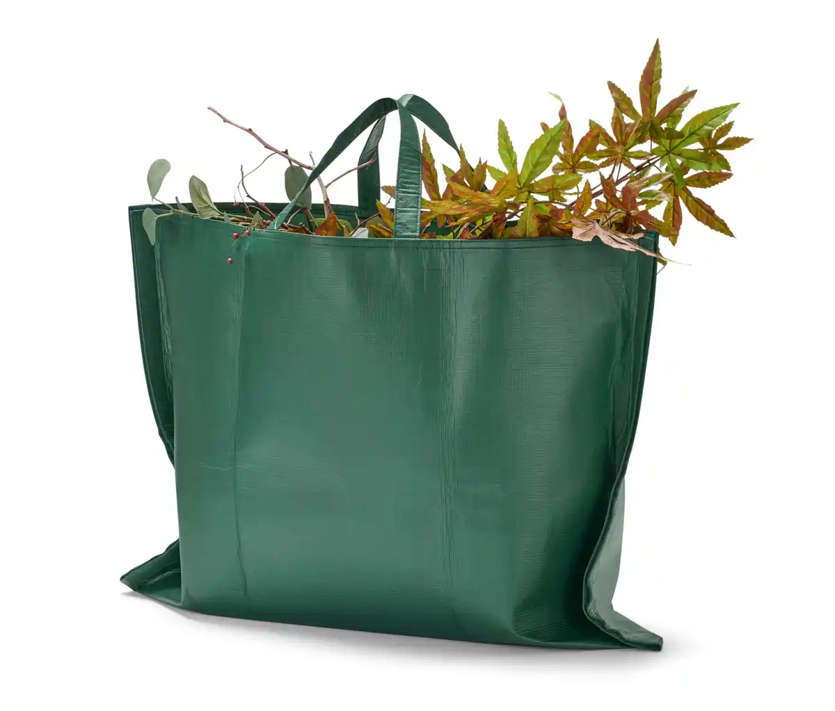 Bild 1 von Gartenabfalltasche