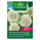 Bild 3 von Finest Garden Allium Blumenzwiebeln