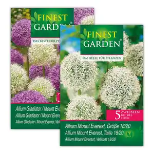 Finest Garden Allium Blumenzwiebeln