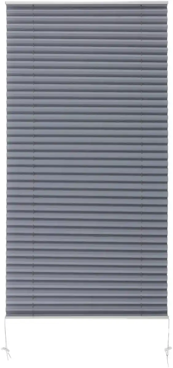 Bild 1 von LIV&BO® Plissee-Fenster-Rollo ca. 60 x 130 cm