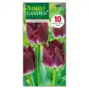 Bild 3 von Finest Garden Tulpen