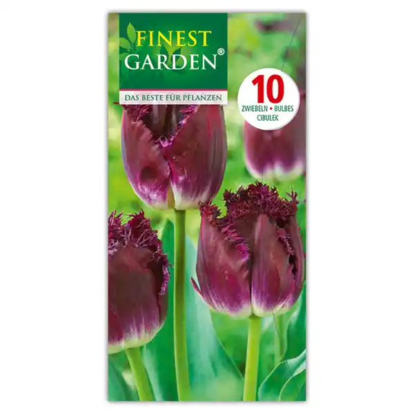 Bild 3 von Finest Garden Tulpen