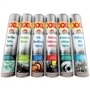 Carfit Professional XXL-Kfz-Spray