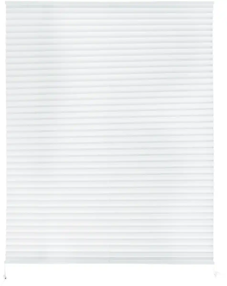 Bild 1 von LIV&BO® Plissee-Fenster-Rollo ca. 100 x 130 cm