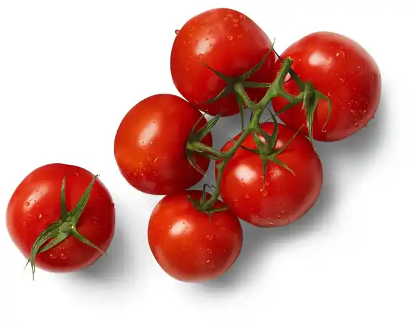 Bild 1 von Rispen Tomaten von Ayse Pinar aus Heilbronn, kg