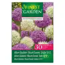 Bild 2 von Finest Garden Allium Blumenzwiebeln