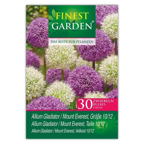 Bild 2 von Finest Garden Allium Blumenzwiebeln