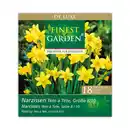 Bild 3 von Finest Garden Herbstblumenzwiebeln