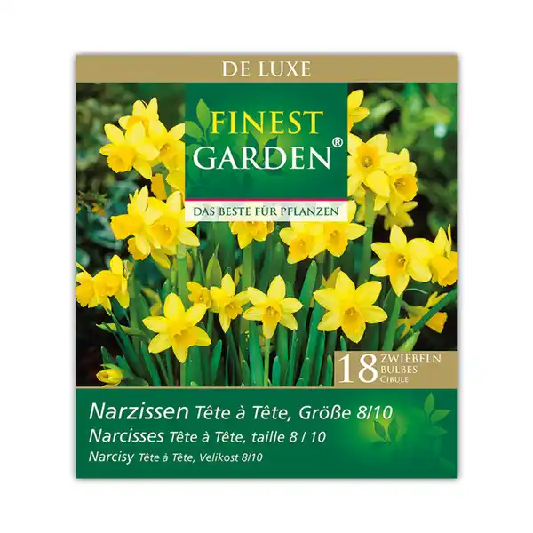Bild 3 von Finest Garden Herbstblumenzwiebeln