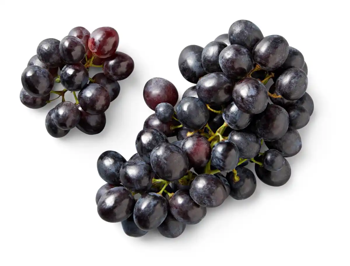 Bild 1 von Ital./span. Tafeltrauben, schwarz, 400-g-Packg.
