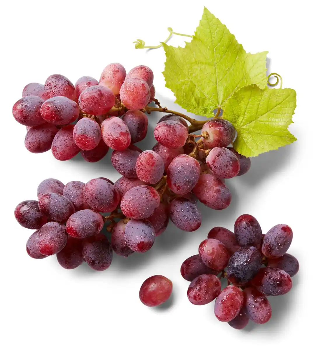 Bild 1 von Ital. Tafeltrauben, blau/rot, 1-kg-Packg