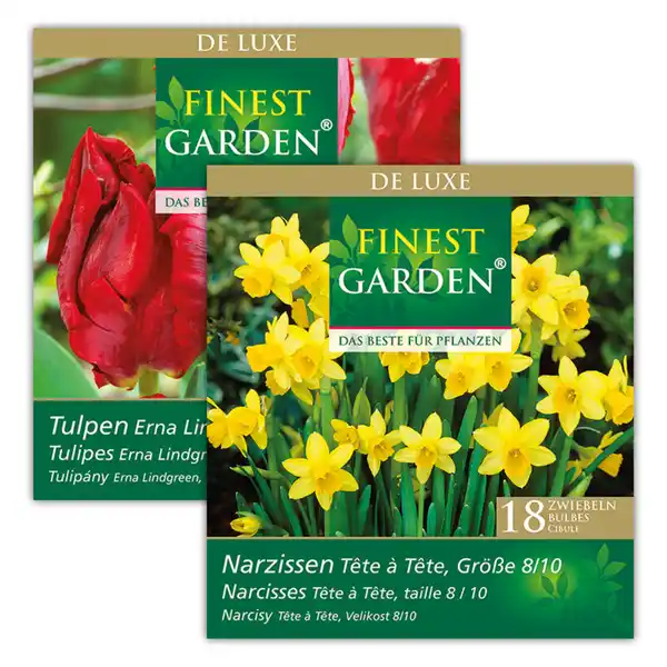 Bild 1 von Finest Garden Herbstblumenzwiebeln