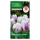 Bild 2 von Finest Garden Tulpen