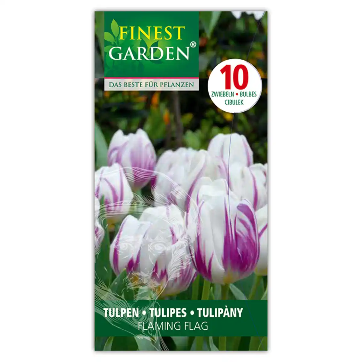 Bild 2 von Finest Garden Tulpen