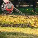 Bild 3 von 2 in 1 Nass-/ Trockensauger und Laubbläser