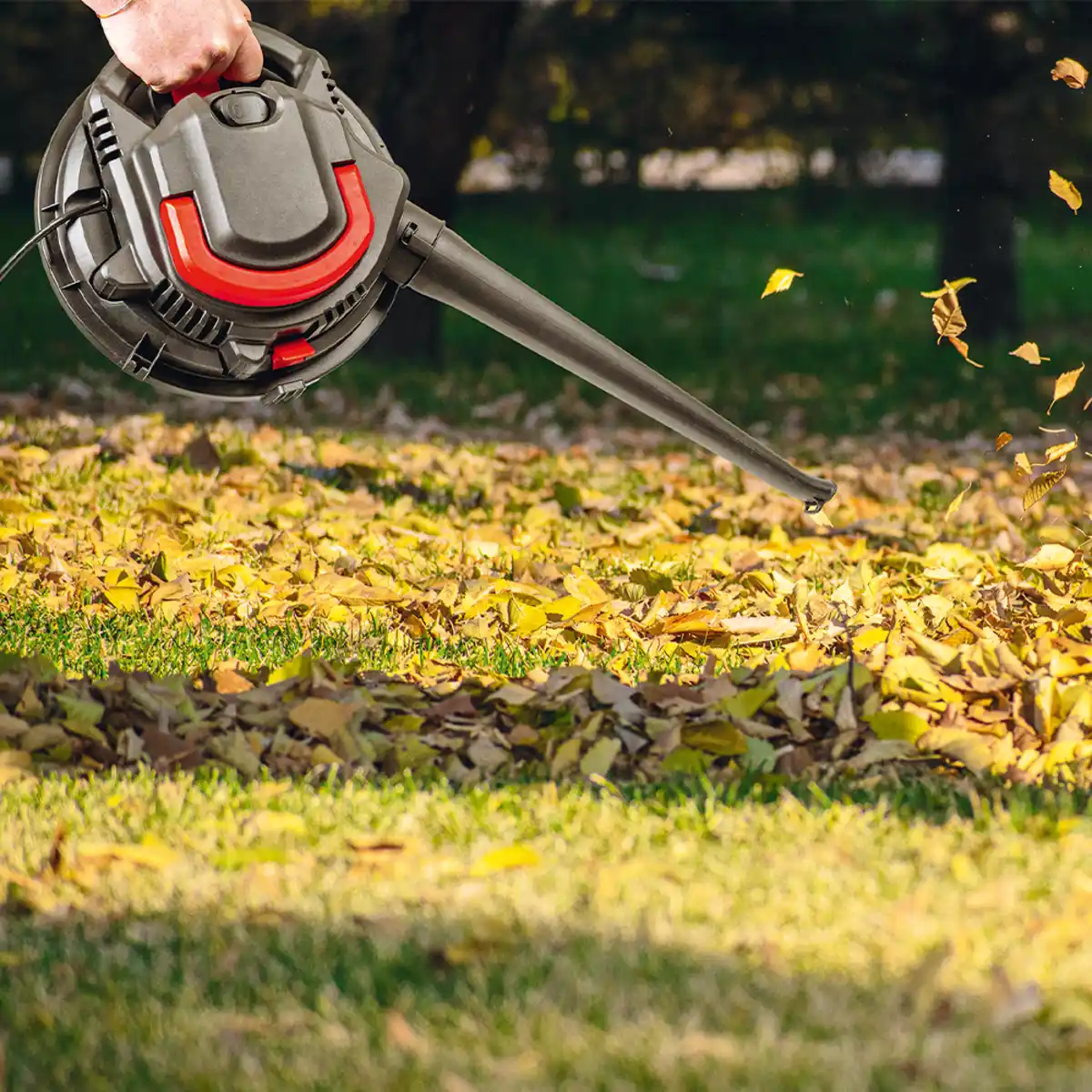 Bild 3 von 2 in 1 Nass-/ Trockensauger und Laubbläser