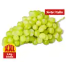 Bild 1 von Helle Tafeltrauben*