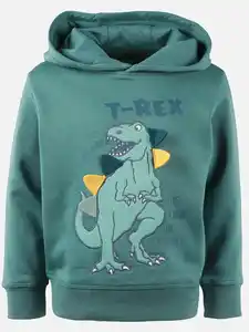 Jungen Sweat-Hoodie mit Dinomotiv Grün