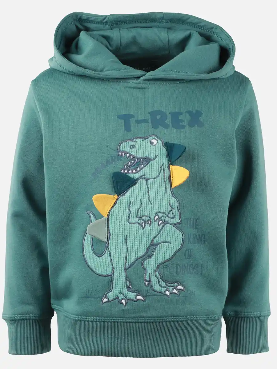 Bild 1 von Jungen Sweat-Hoodie mit Dinomotiv Grün