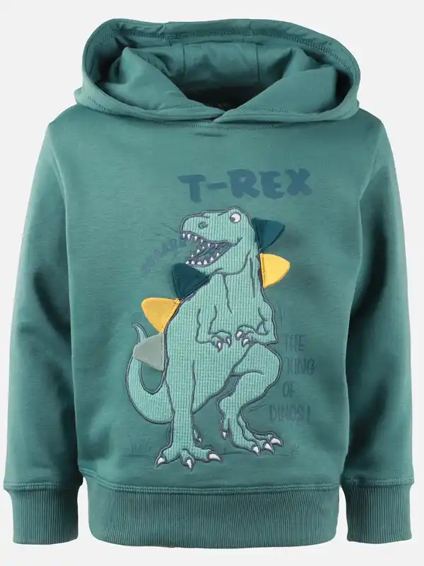 Bild 1 von Jungen Sweat-Hoodie mit Dinomotiv Grün