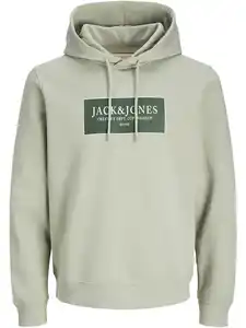 Jack&Jones JORGREENE SWEAT Hoodie Grün