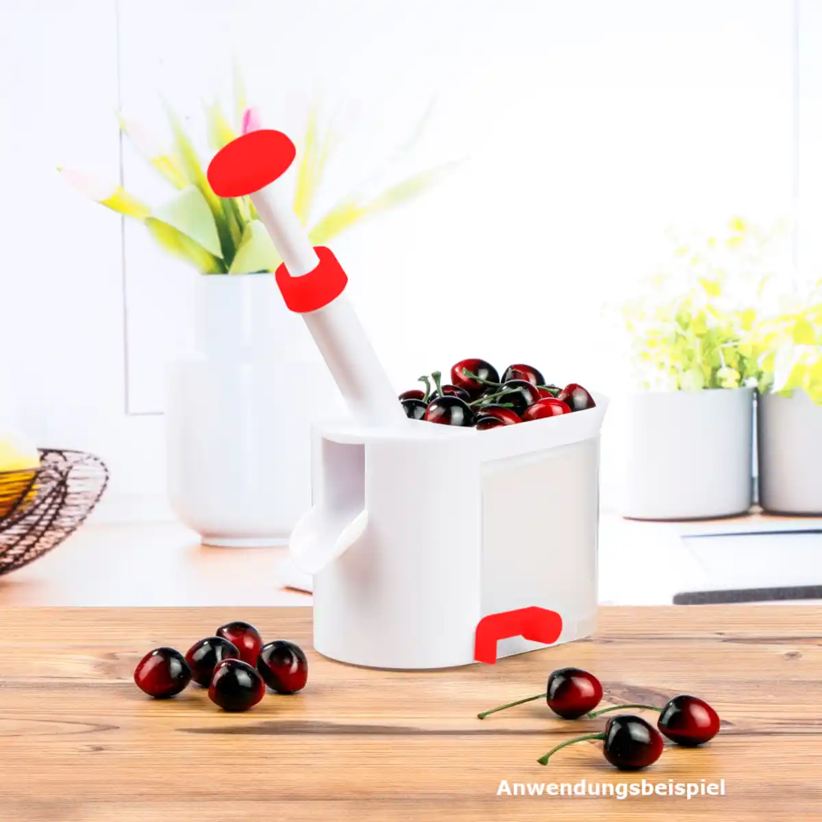 Bild 1 von Kirschentkerner mit Auffangbehälter