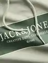 Bild 3 von Jack&Jones JORGREENE SWEAT Hoodie Grün