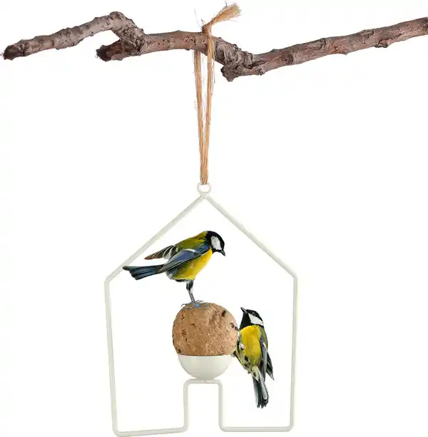 Bild 3 von IDEENWELT Meisenknödelstation Haus