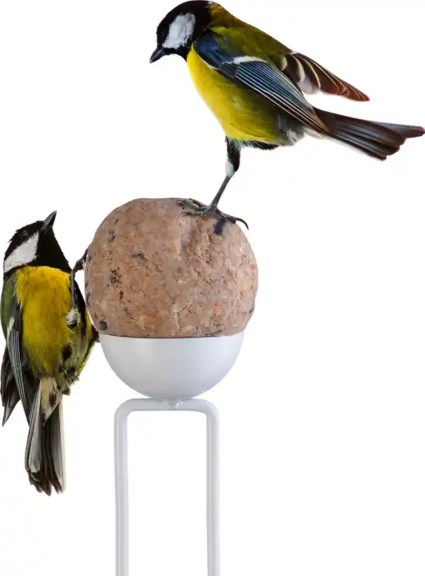 Bild 2 von IDEENWELT Meisenknödelstation Haus