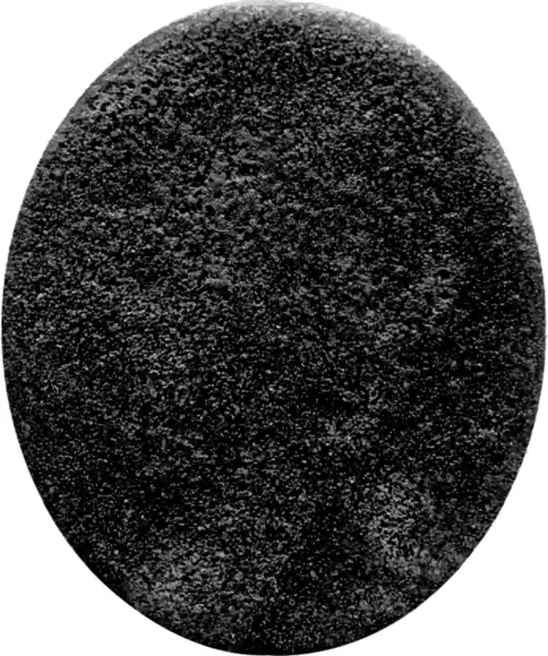 Bild 3 von Sapuun Seifenschwamm the vibe - Aktivkohle Flavour, 150 g