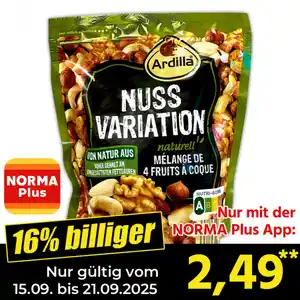 Ardilla Nuss Variation