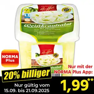 Excellent Buffet Beilagensalat