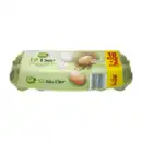 Bild 1 von BIO Frische Eier