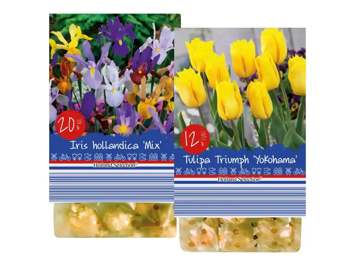 Bild 1 von Holländische Blumenzwiebeln