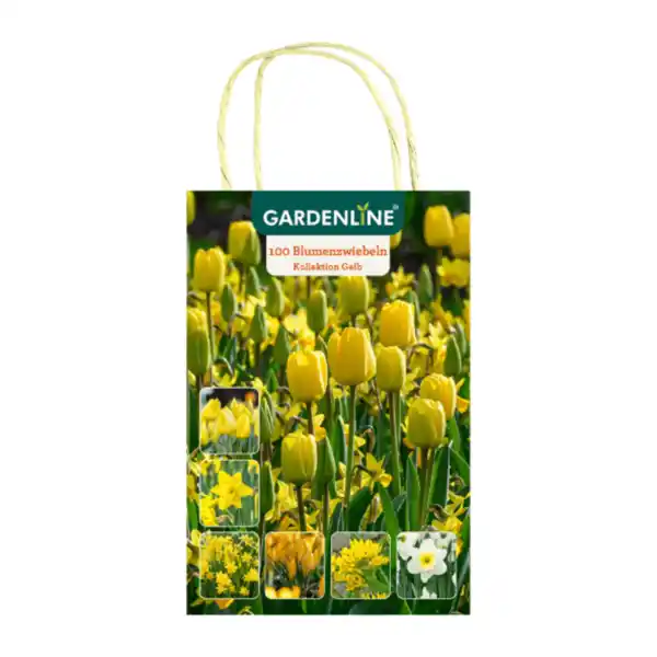 Bild 2 von GARDENLINE Blumenzwiebeln Farbthema Herbst