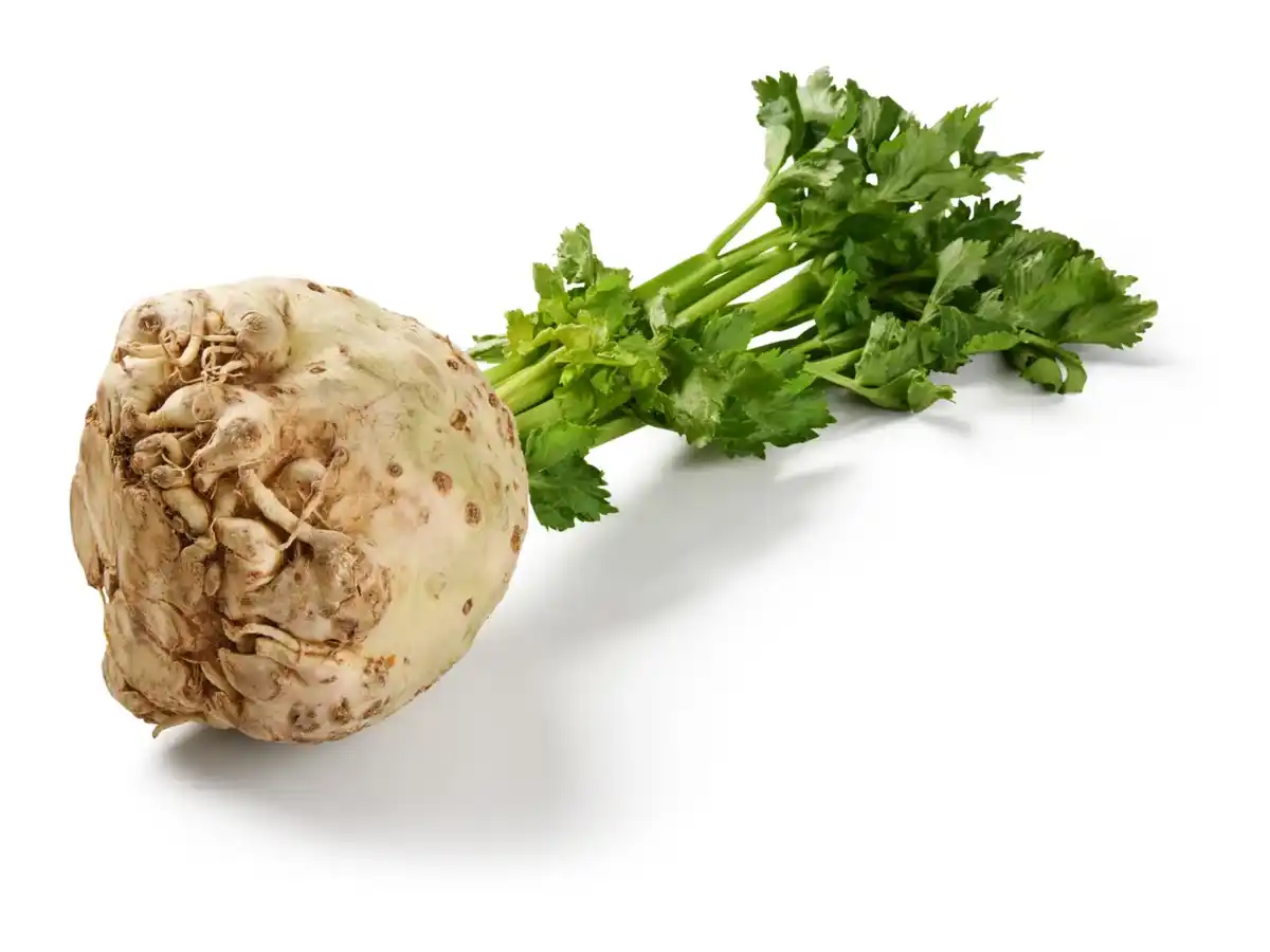 Bild 1 von Deutscher Knollensellerie mit Grün, lose