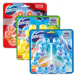 Domestos WC Stein Power 5