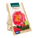 Bild 4 von GARDENLINE Premium-Pfingstrosenknolle