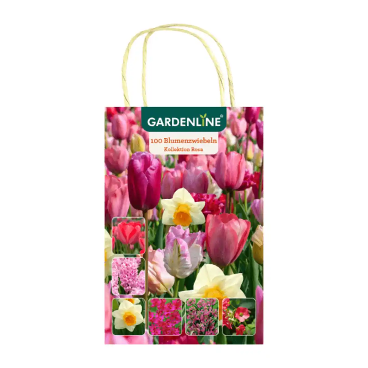 Bild 3 von GARDENLINE Blumenzwiebeln Farbthema Herbst