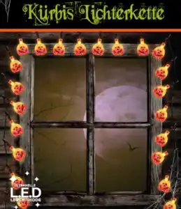 KĂĽrbis Lichterkette 25LED 2xAA NE