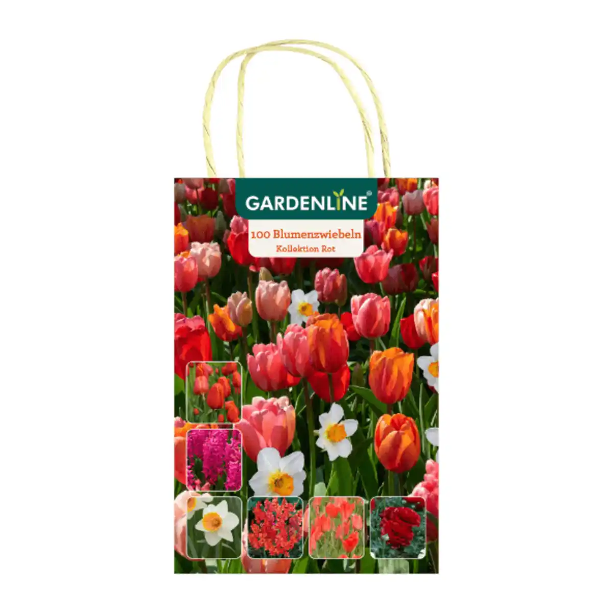 Bild 4 von GARDENLINE Blumenzwiebeln Farbthema Herbst