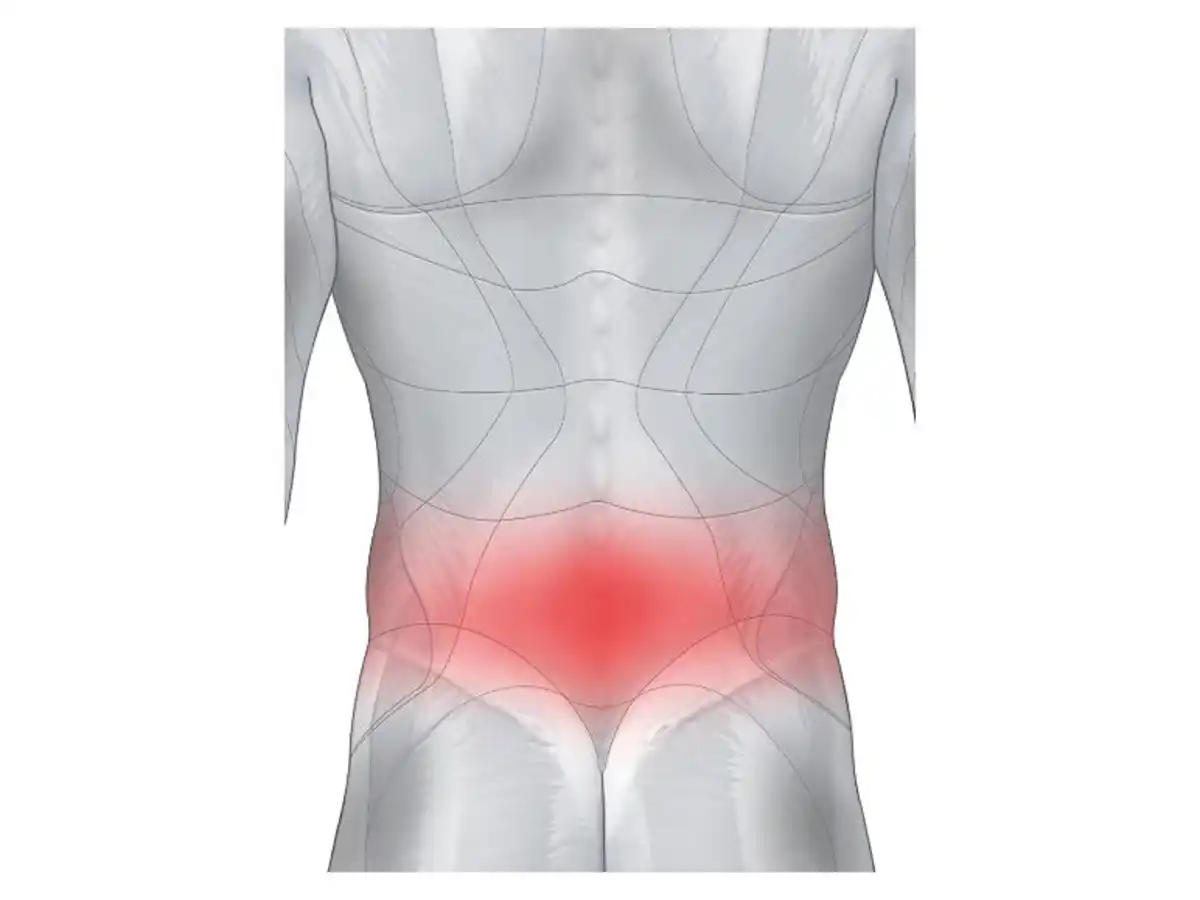 Bild 3 von sensiplast® Rückenbandage