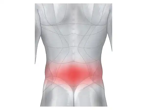 Bild 3 von sensiplast® Rückenbandage