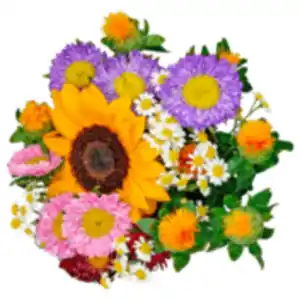 Blumenstrauß »Bunte Wiese«