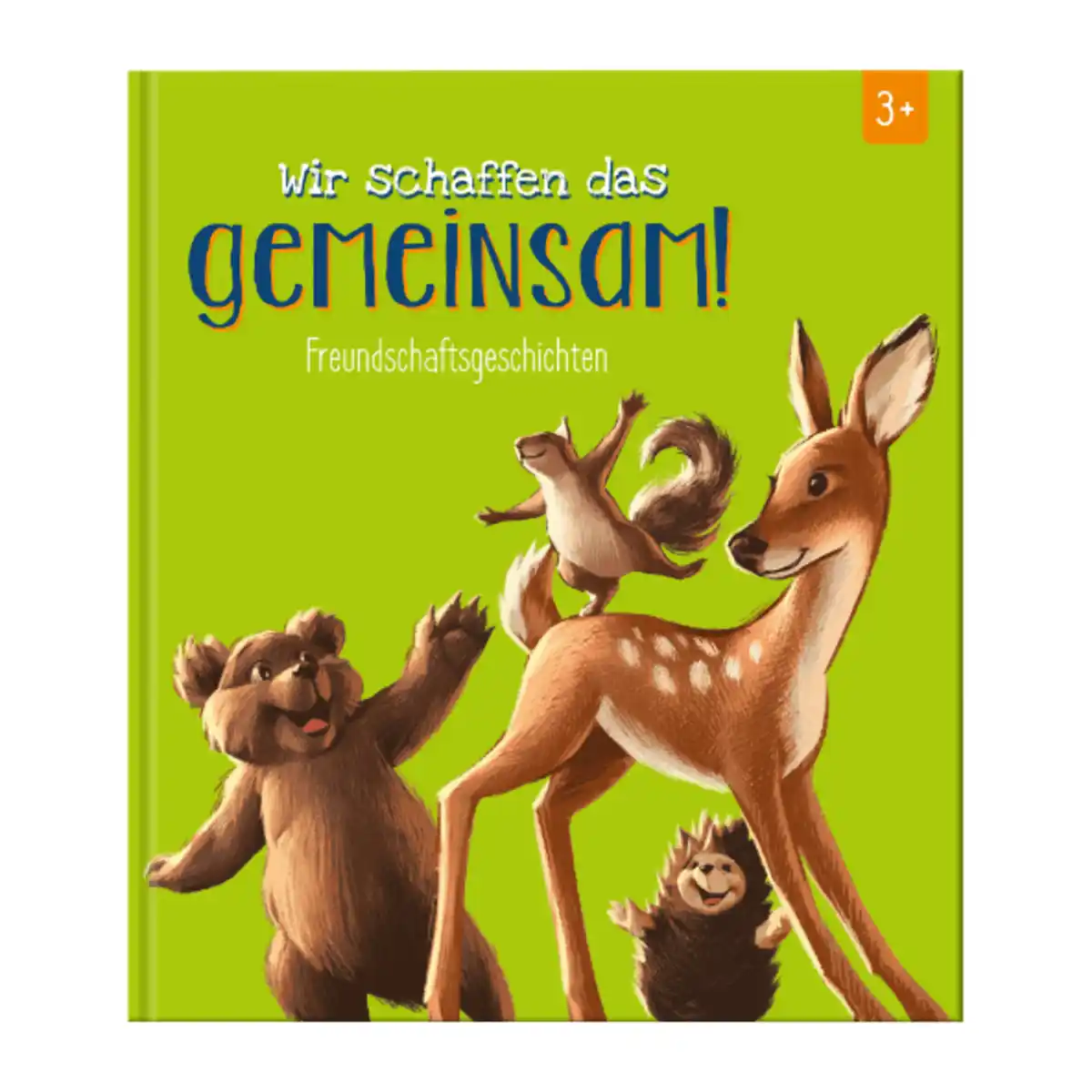 Bild 3 von Bilderbuch / Mitmachbox